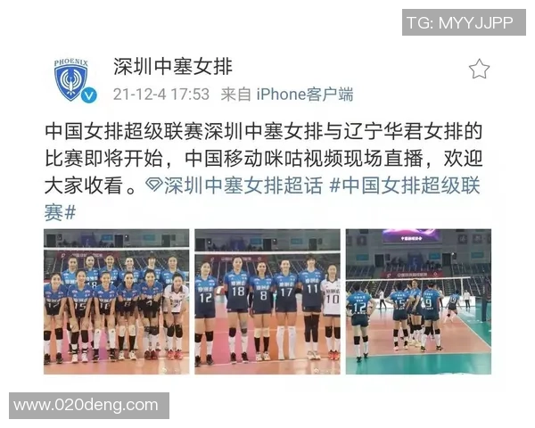 南京排球队与深圳排球队实力对比赛后分析及未来展望